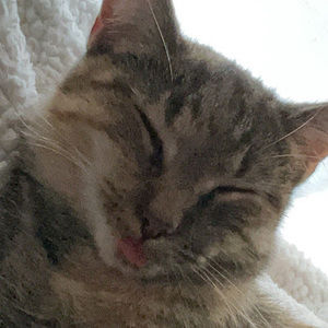 Meet your Posher, Rey